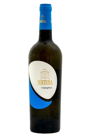 <div>FALANGHINA</div>