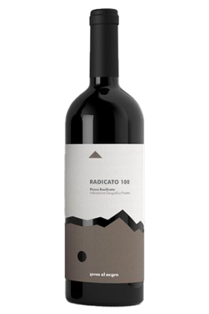 <div>AGLIANICO VULTURE RADICATO</div>